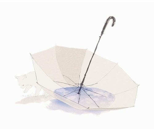 Ucu Kırık Şemsiye